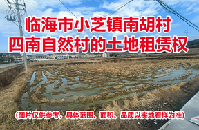 临海市小芝镇南胡村四南自然村的土地租赁权